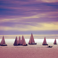 The Garden of Confidence - Sailing